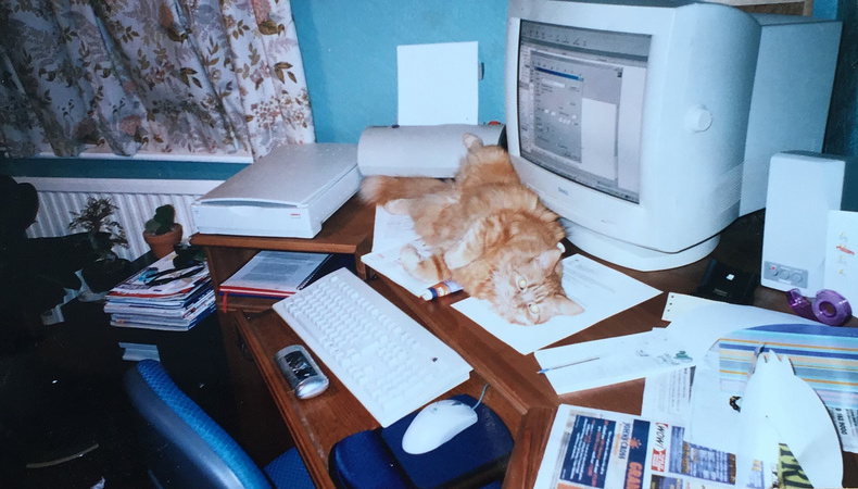 0FD4-fat-first-office-1646127042.jpg