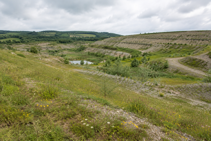 Restoring Damaged Landscapes The Engineering Role in Land Recovery (1).png