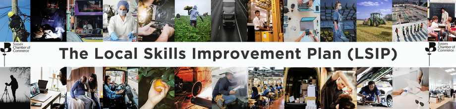 local+skills+improvement+plan.png