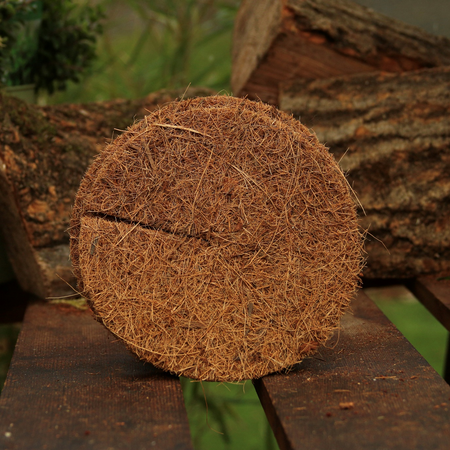 1D2E-coir-3-1713771757.png