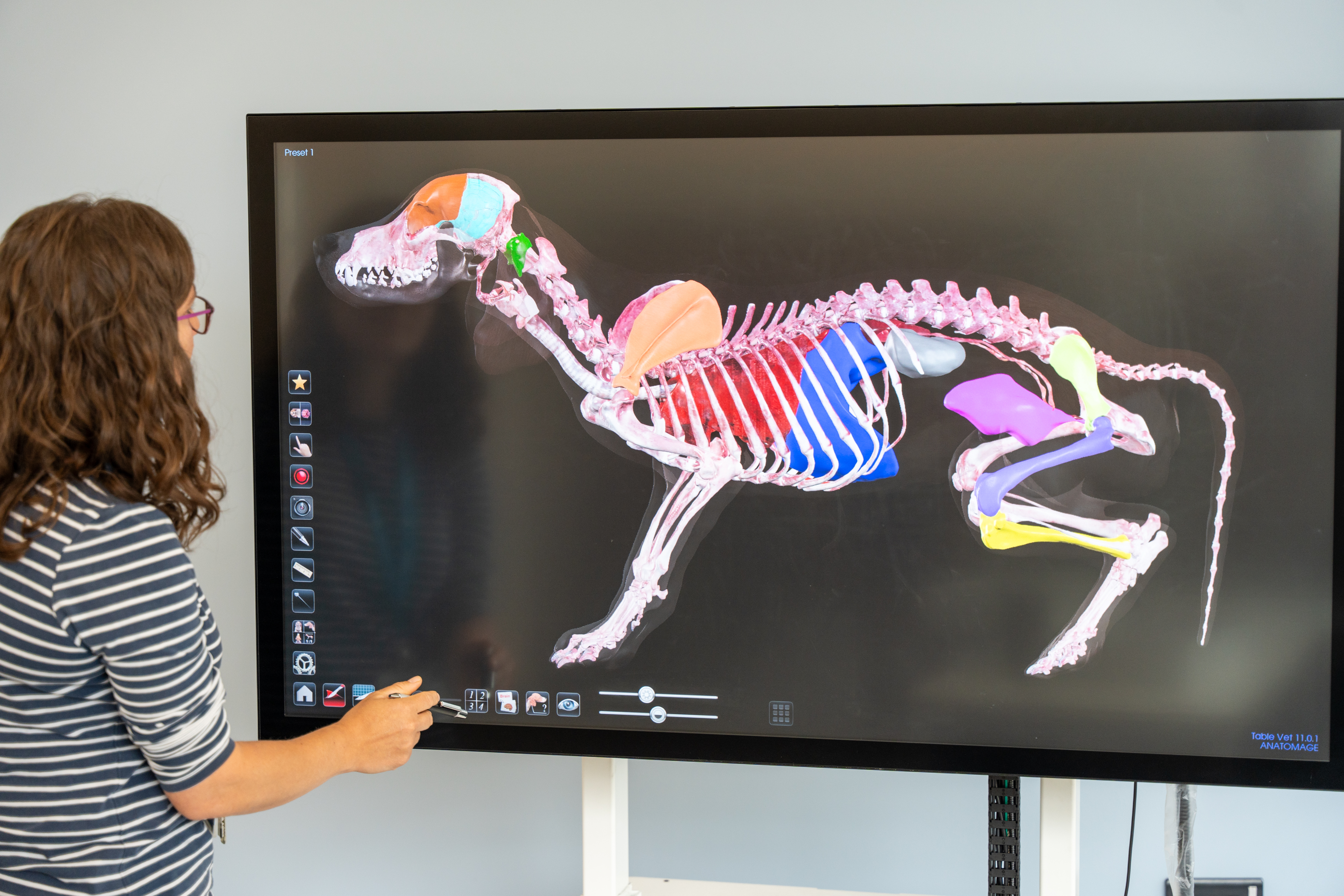 plumpton- picture.jpg