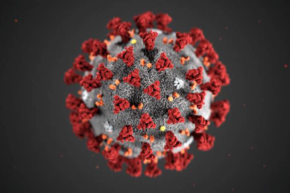 coronavirus__581