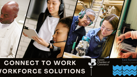 Connect To Work - Workforce Solutions (1).png