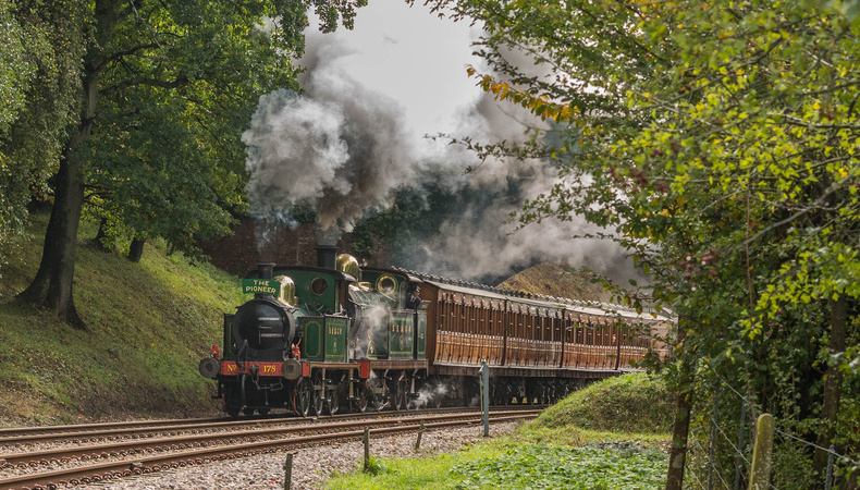 bluebell_railway_photo_credit_david_cable_09oct2020_3000