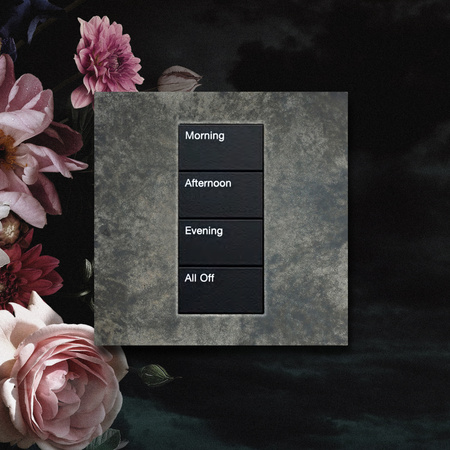 focussbkeypadfaceplatelutronpalladiomankametalsantiquenickelsilvernatureinspiredfinishes_2000_01