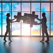 Strategic Partner