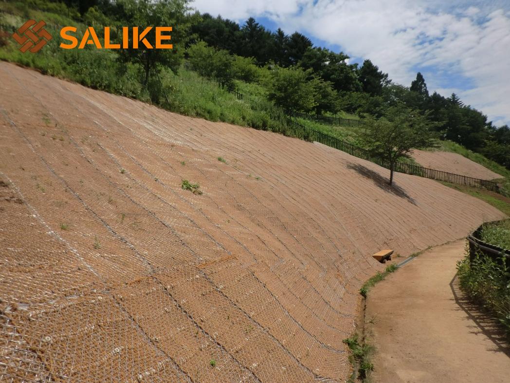 Salike® Positions Itself at the Forefront of Sustainable Geotechnical and Natural Fibre Engineering Solutions in the United King.jpg
