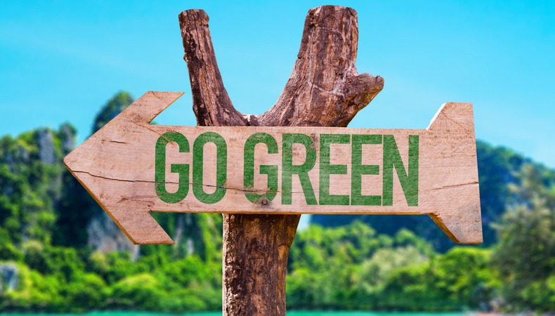 8564-go-green-1690363086.jpg