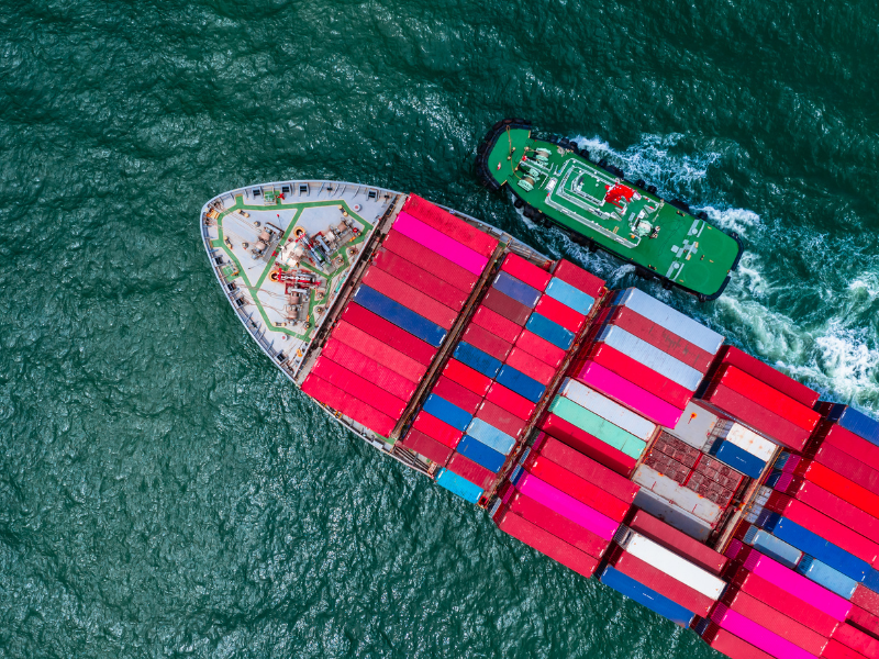 International Trade Support