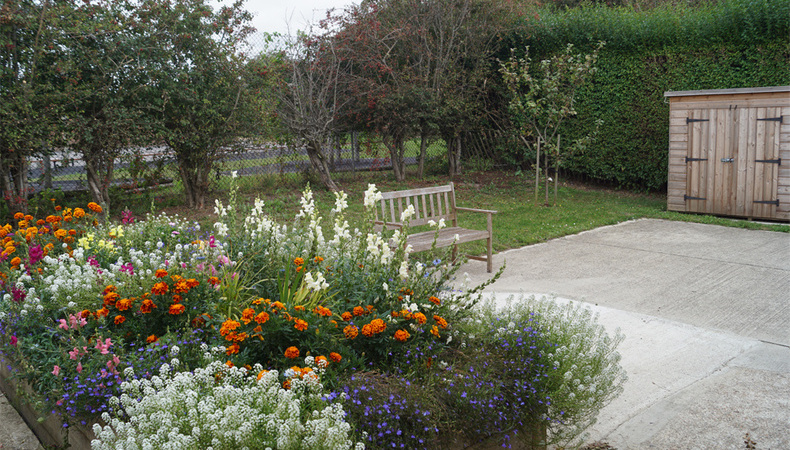 02september_2019_msc_garden_rear_1000