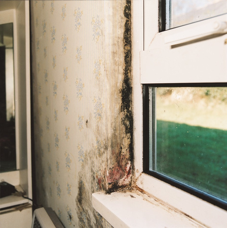 mould_3_950