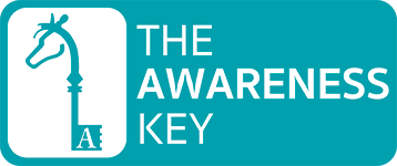 the awareness key.png