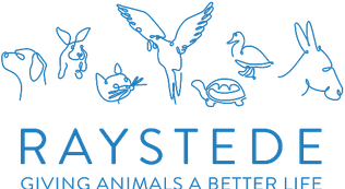 Raystede logo.png