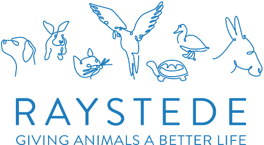 Raystede logo.png