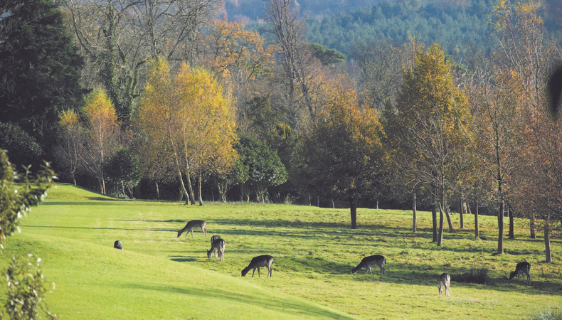 ashdown_park_hotel_sussex_1800_01