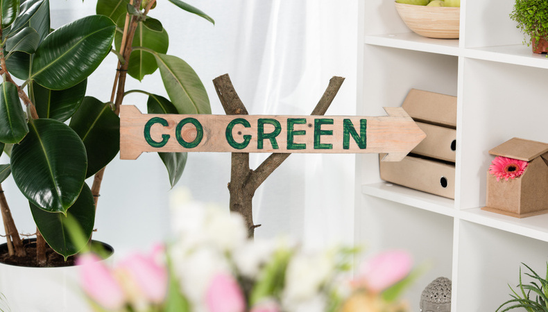 B472-go-green-1678289136.jpg