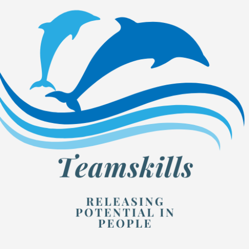Teamskills Logo.png