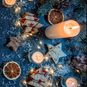christmas shot.png