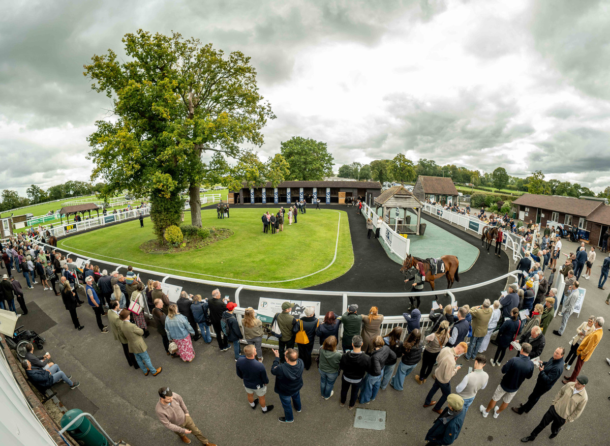 Plumpton Racecourse, September 2025