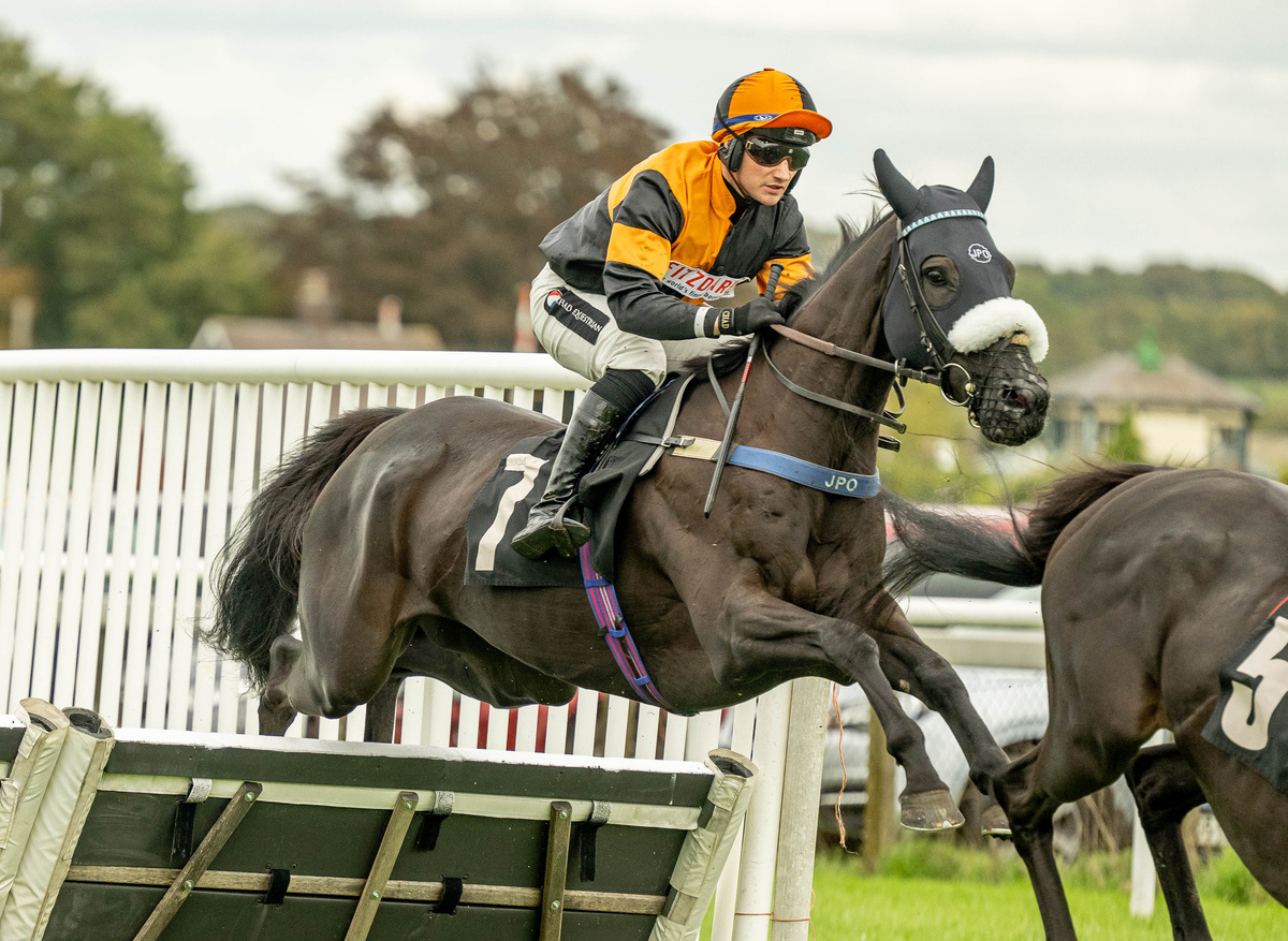 Plumpton Racecourse, September 2025