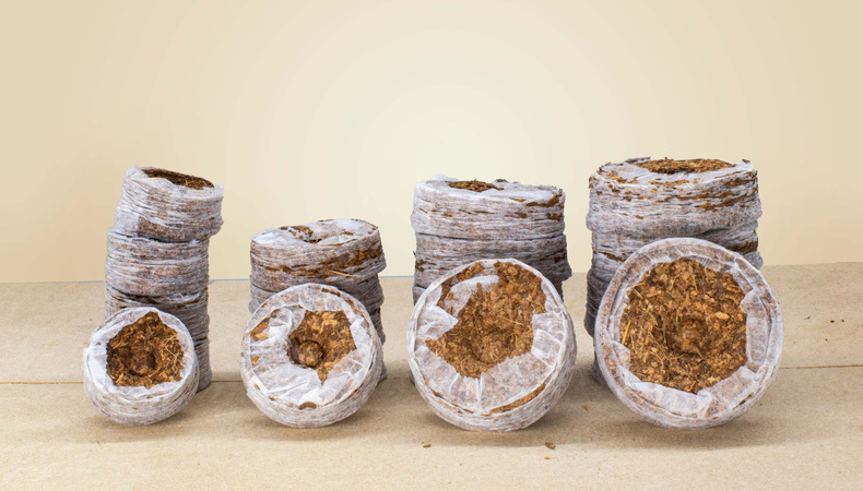 Coir Coins