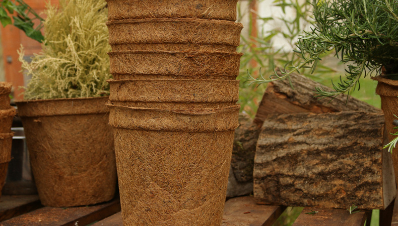 FAC0-plant-pot-1684329393.jpg